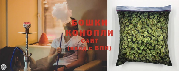 ПСИЛОЦИБИНОВЫЕ ГРИБЫ Алзамай